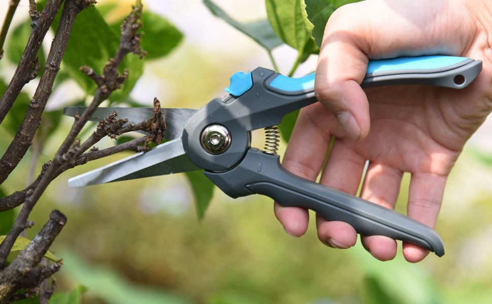 Stainless garden bypass pruners shears operation