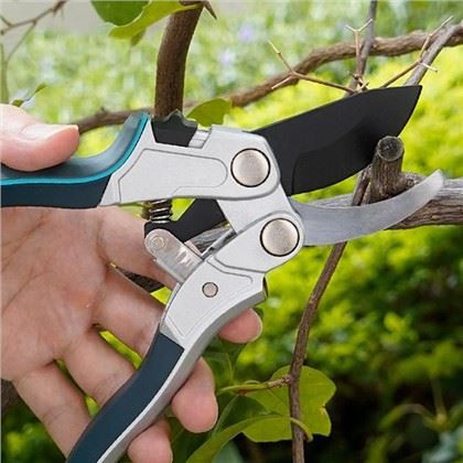 A tökéletes metszőmetsző kiválasztása almafáihoz: Kertész útmutató