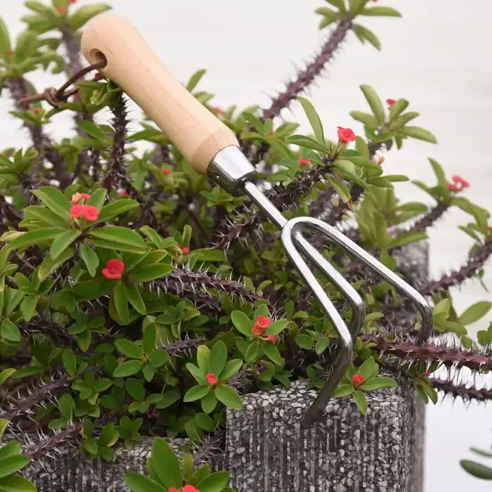 Three Prong Hand Cultivator