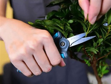 Miért dobtuk piacra az új és nagyobb ollót