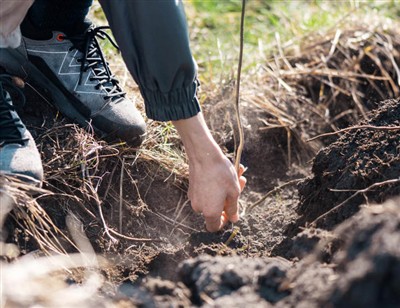 Játékos lépések a gyökerek átásásához