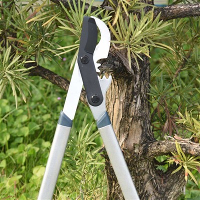A legjobb metszőágak a bypass Loppers