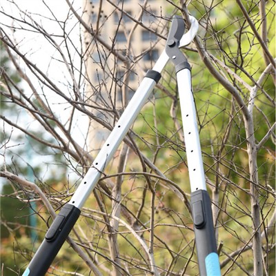 Kertészkedés elfoglalt egyéneknek: tippek a kert gondozásához korlátozott ideig