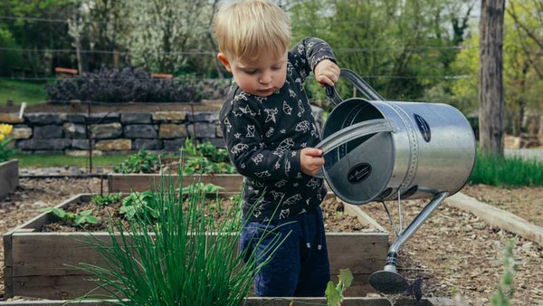 irrigation-tool irrigation-tool