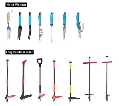 A zöld művelése: a fenntarthatóság felkarolása a kertben