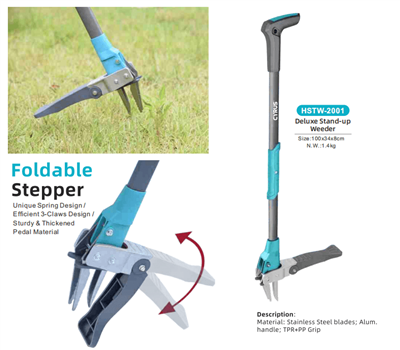 A Közép-Őszi Fesztivál ünneplése szerte a világon: A hagyomány és a kerti sze...