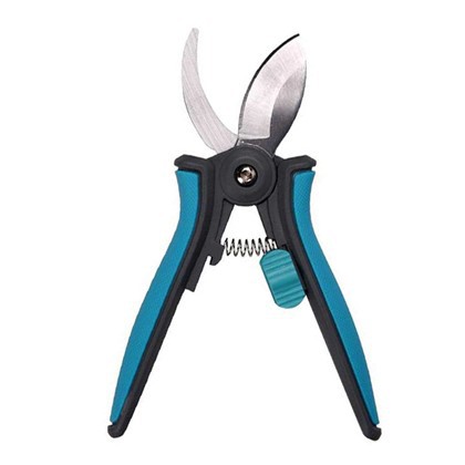 Szobanövény metsző